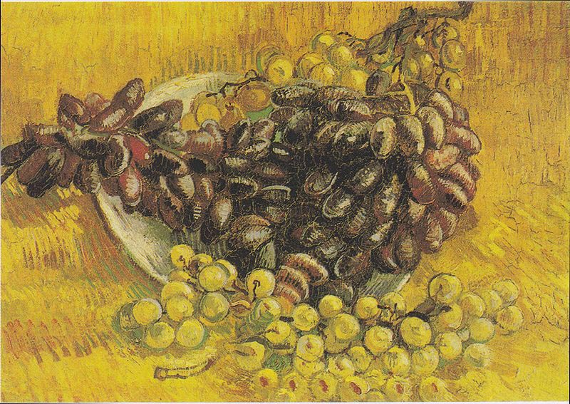 Still Life with Grapes